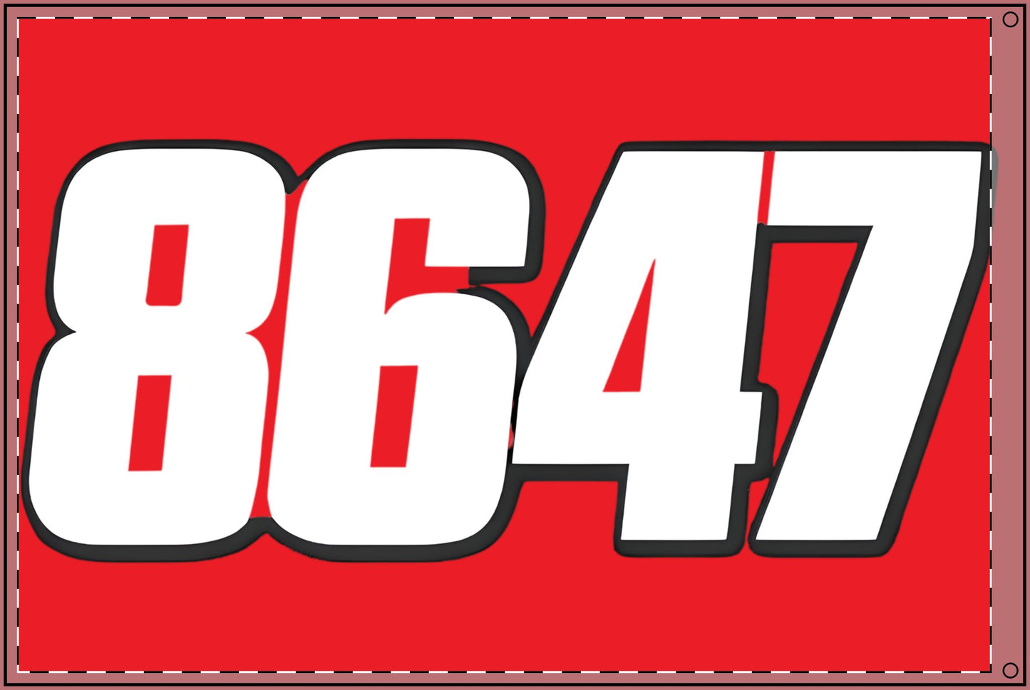 FU47/ 8647 Custom Double Sided Flag for Events, Resistance Flag, Protest Banner, Unique Gift, Festive Display, Home or Yard