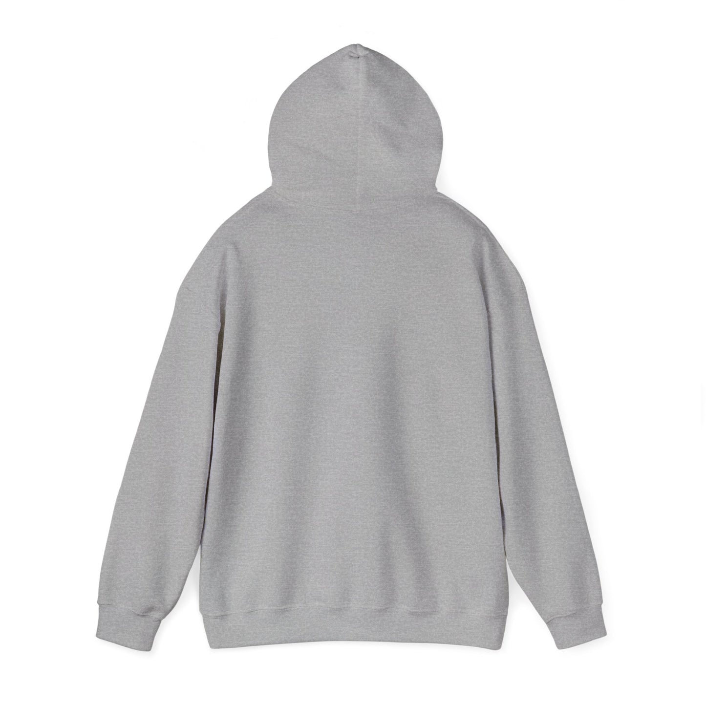 No Kings in America Fleece Hoodie, Cozy Fleece Hoodie, Political Statement Hoodie, Stand With Ameroca Hoodie, Anti Fascism Hoodie
