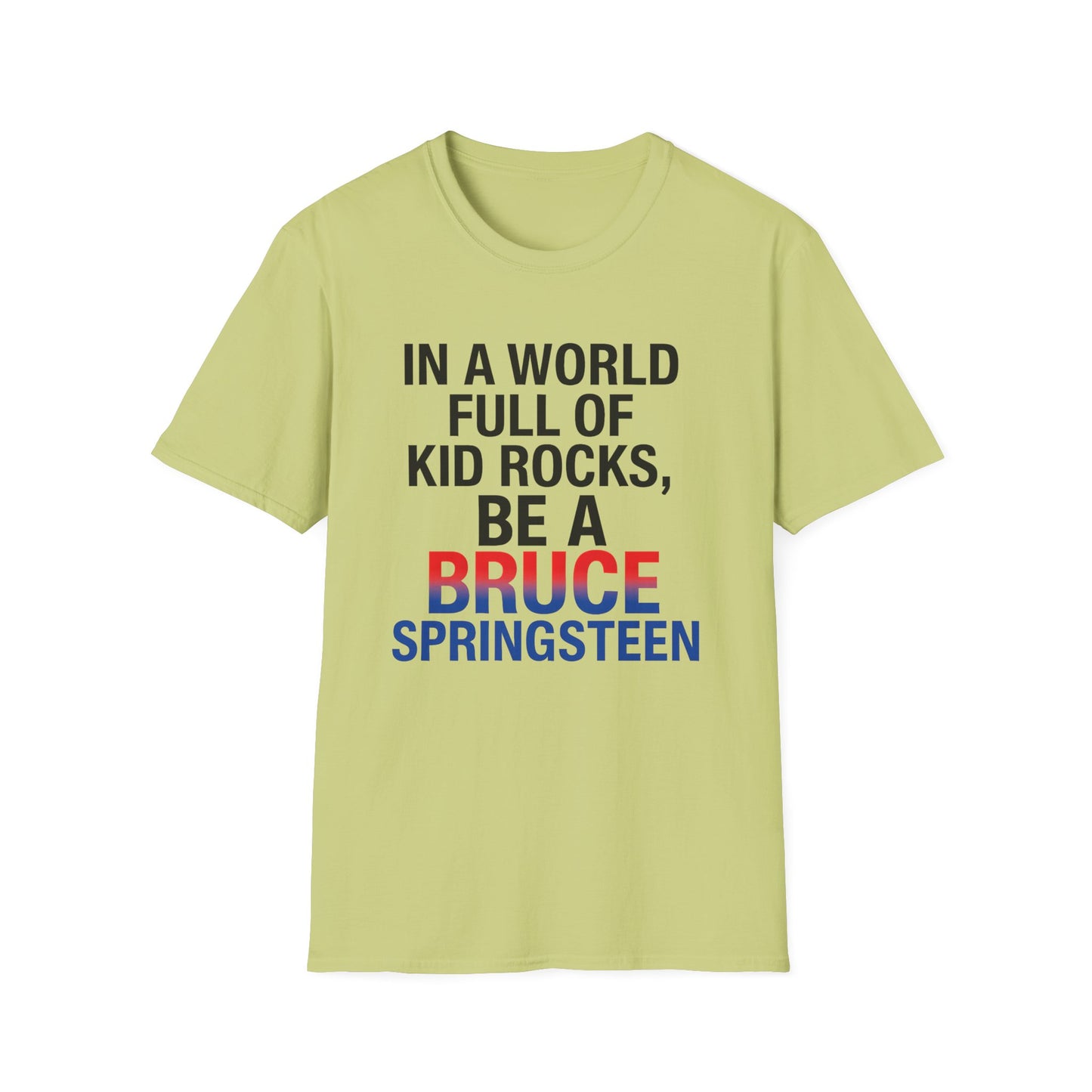 Be a Bruce Springsteen T-Shirt - Be a Bruce Springsteen, Music Lover Gift, Casual Tee, Concert Outfit, Unique Design