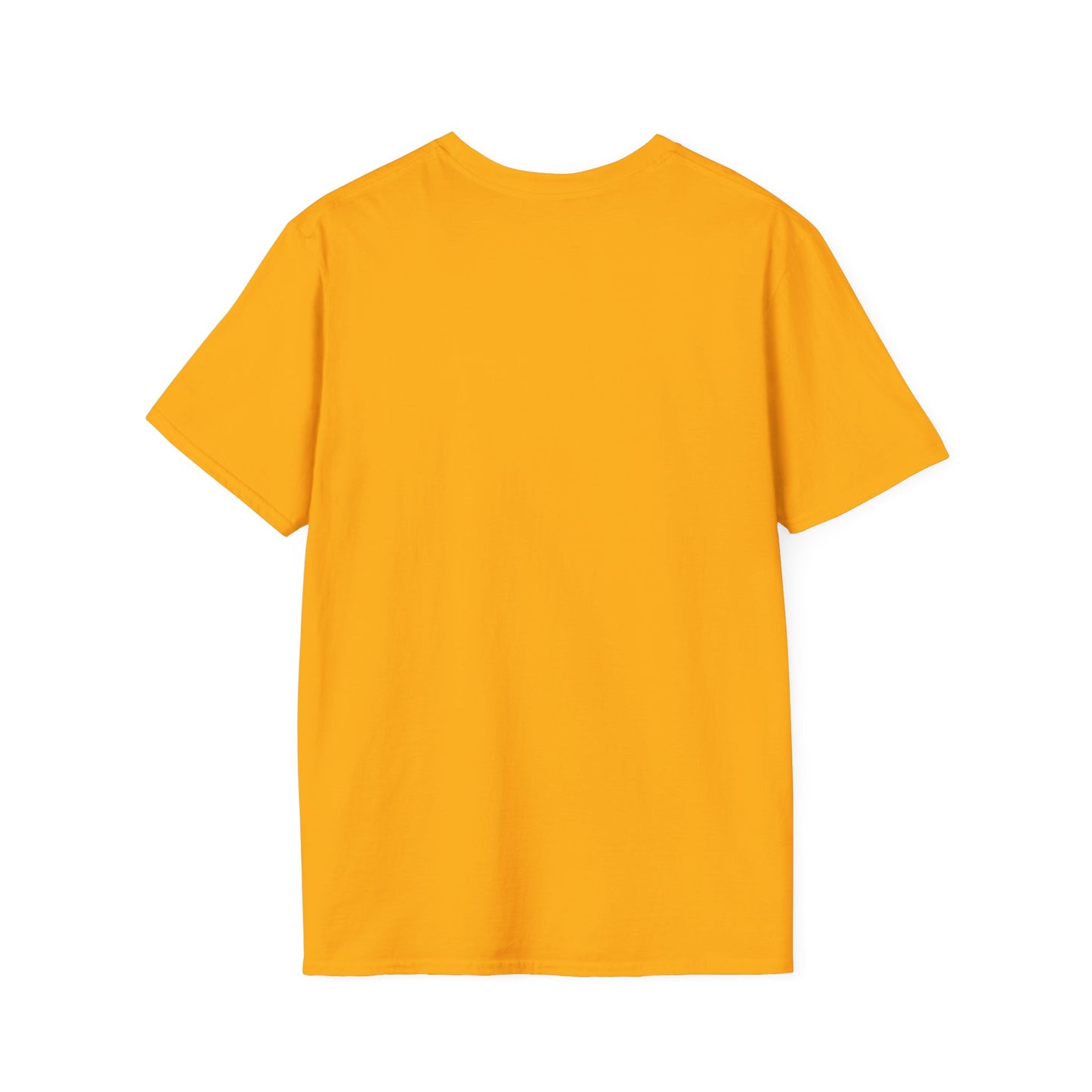 Coming Soon No Due Process Necessary! unisex anti-Trump tee, 34 felony counts tshirt, antiTrump statement apparel