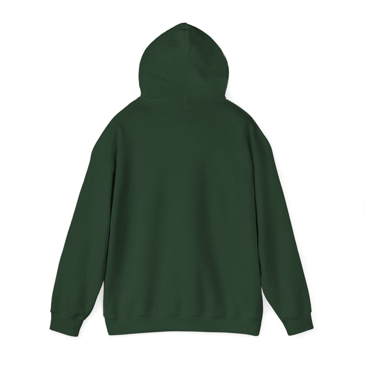 No Kings in America Fleece Hoodie, Cozy Fleece Hoodie, Political Statement Hoodie, Stand With Ameroca Hoodie, Anti Fascism Hoodie