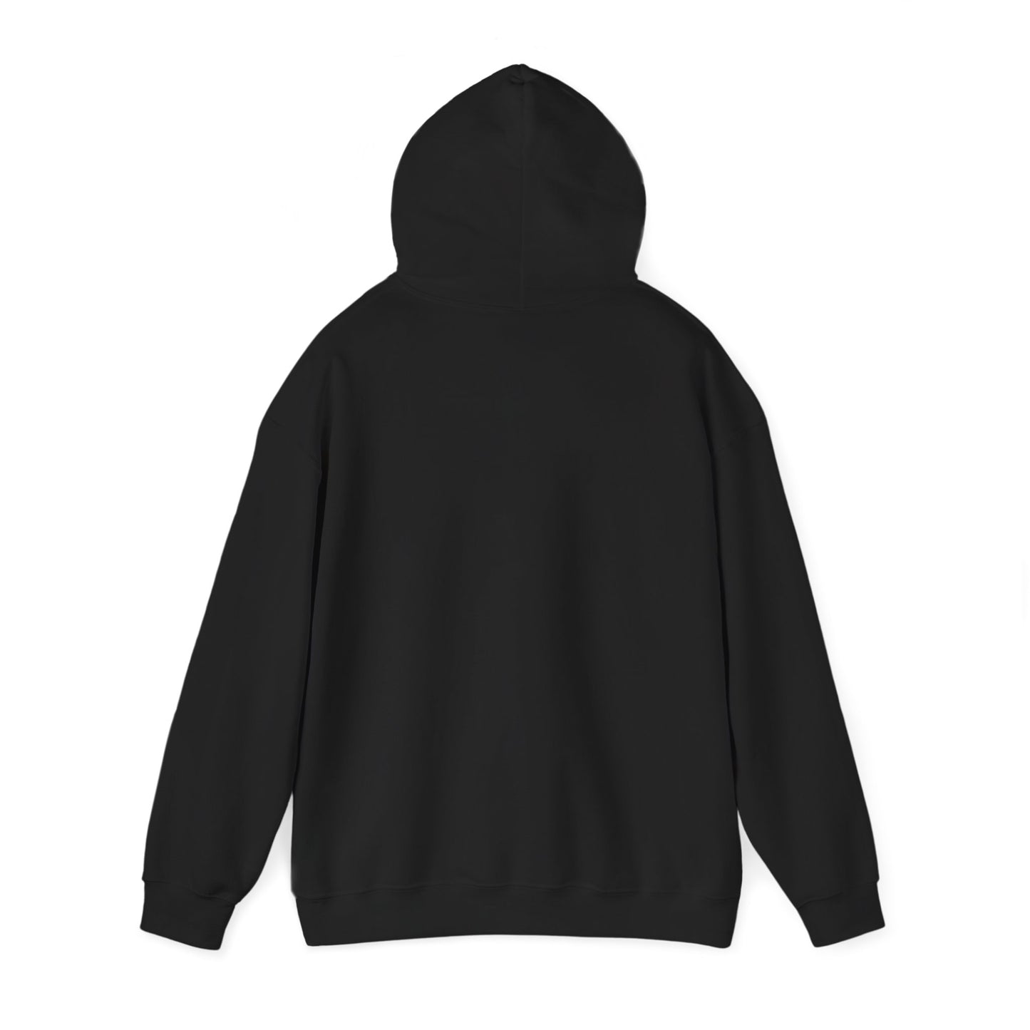 No Kings in America Fleece Hoodie, Cozy Fleece Hoodie, Political Statement Hoodie, Stand With Ameroca Hoodie, Anti Fascism Hoodie