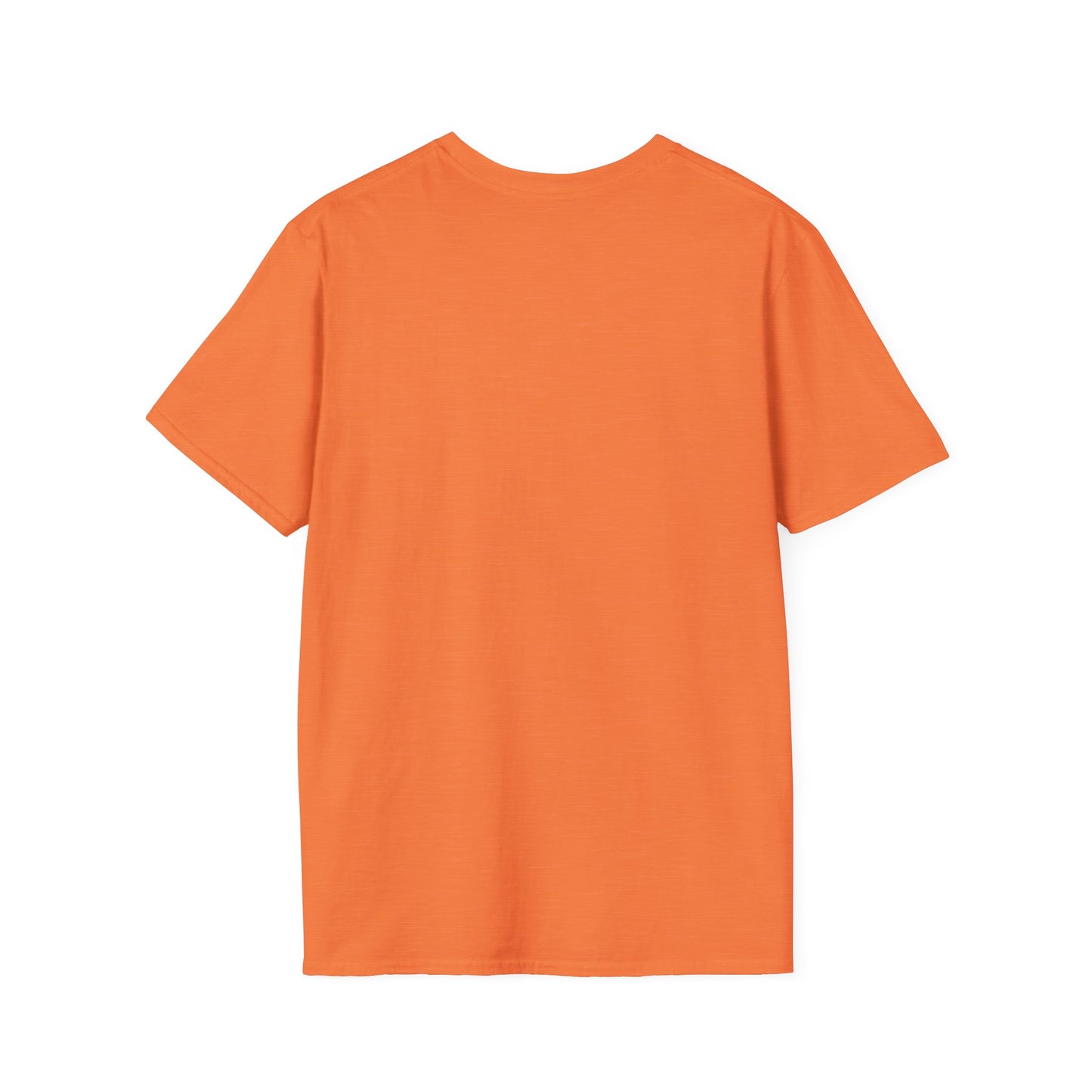Coming Soon No Due Process Necessary! unisex anti-Trump tee, 34 felony counts tshirt, antiTrump statement apparel