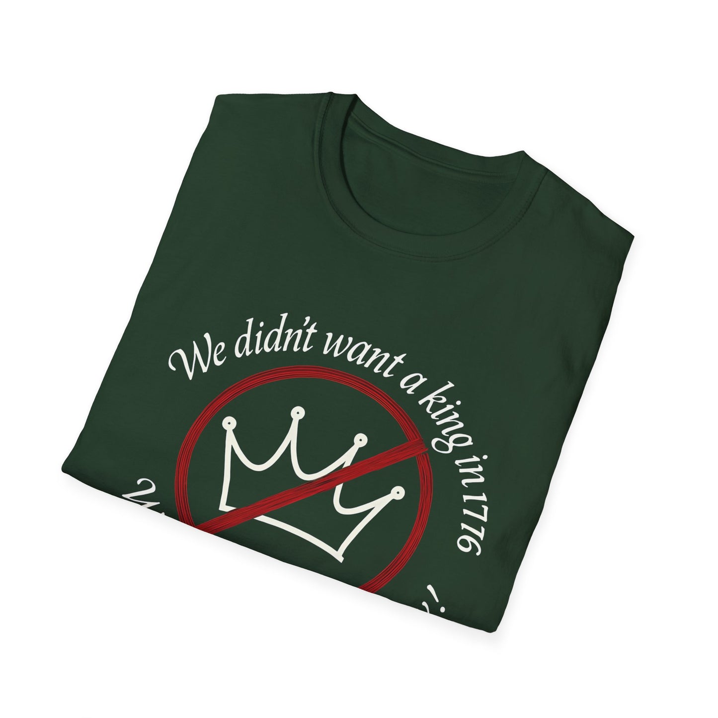 No Kings in 1776 unisex t-shirt, no kings political tee, anti king tee, unisex fit, protest t-shirt, everyday patriot t-shirt