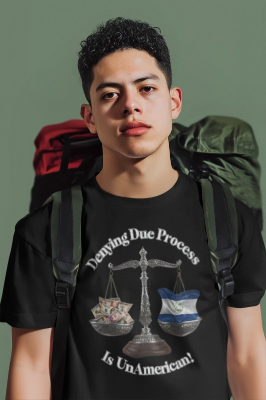 Justice T-Shirt - 'Denying Due Process Is UnAmerican' Graphic Tee, Political Apparel, Gift for Activists, Casual Wear, Statement Shirt