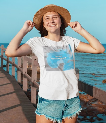 Gulf of Gavin Newsom Blue 2028 Unisex Softstyle T-Shirt, Political Tee, Election Day Shirt, Casual Fashion, Gift for Activists, Comfortable Everyday Wear