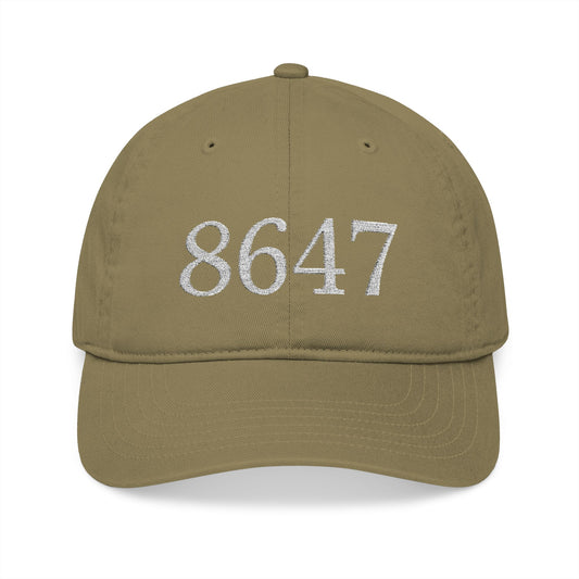 8647 Embroidered Baseball Cap | Eco-Friendly Headwear, Casual Style, Unisex Gift, Everyday Accessory, Outdoor Activities