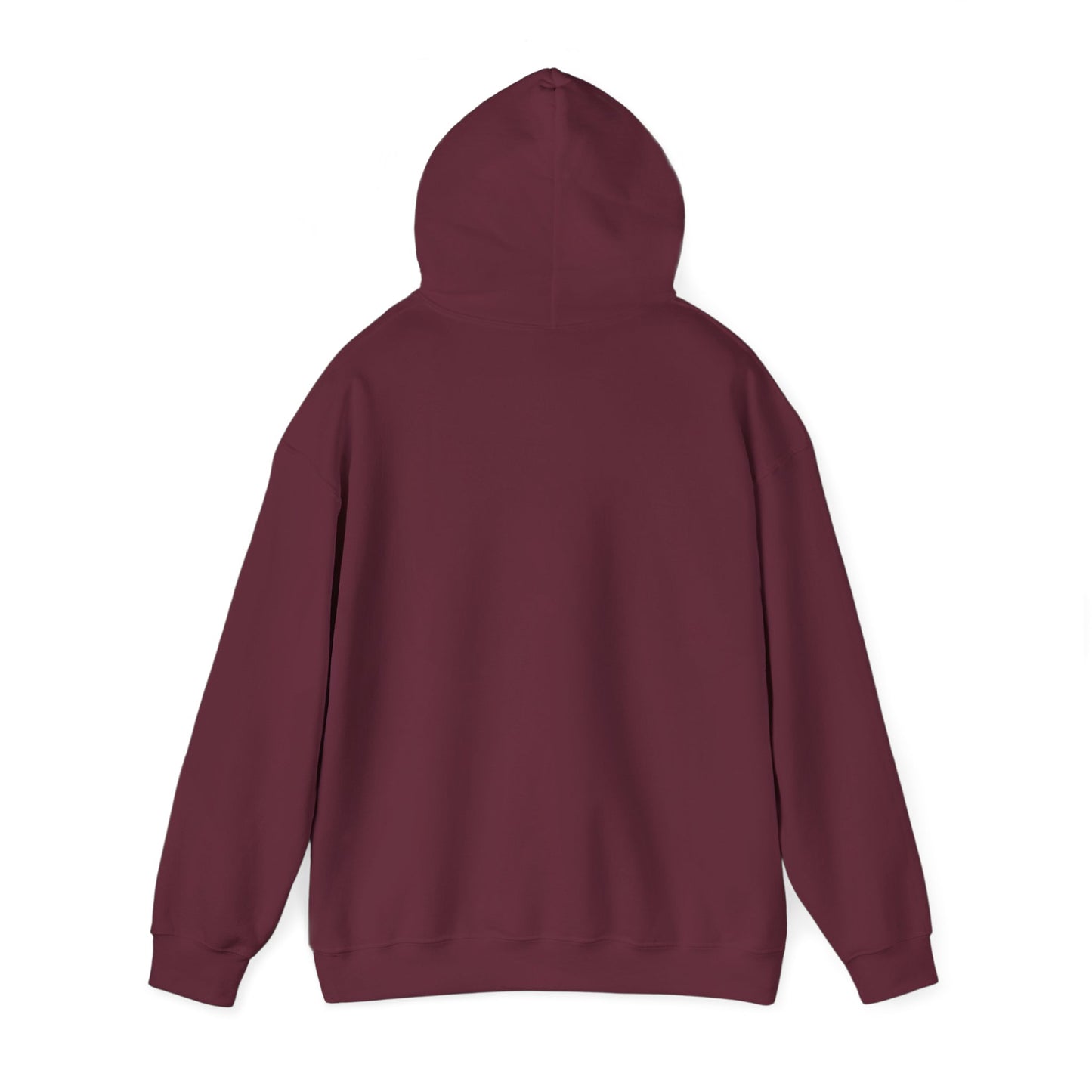 No Kings in America Fleece Hoodie, Cozy Fleece Hoodie, Political Statement Hoodie, Stand With Ameroca Hoodie, Anti Fascism Hoodie