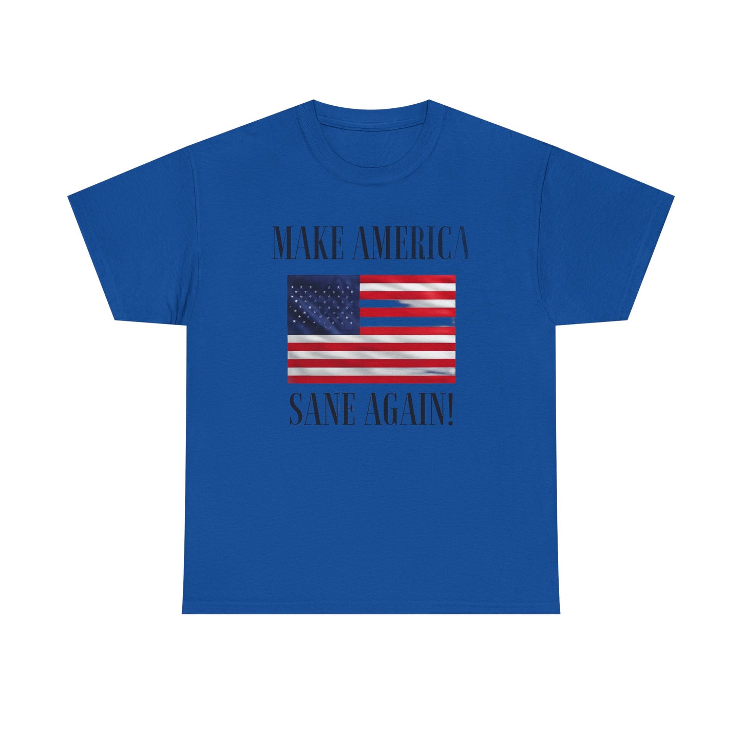 Make America Sane Again! T-Shirt, Unisex Graphic T-Shirt, Political Statement Tee, Anti Fascism, Anti MAGA