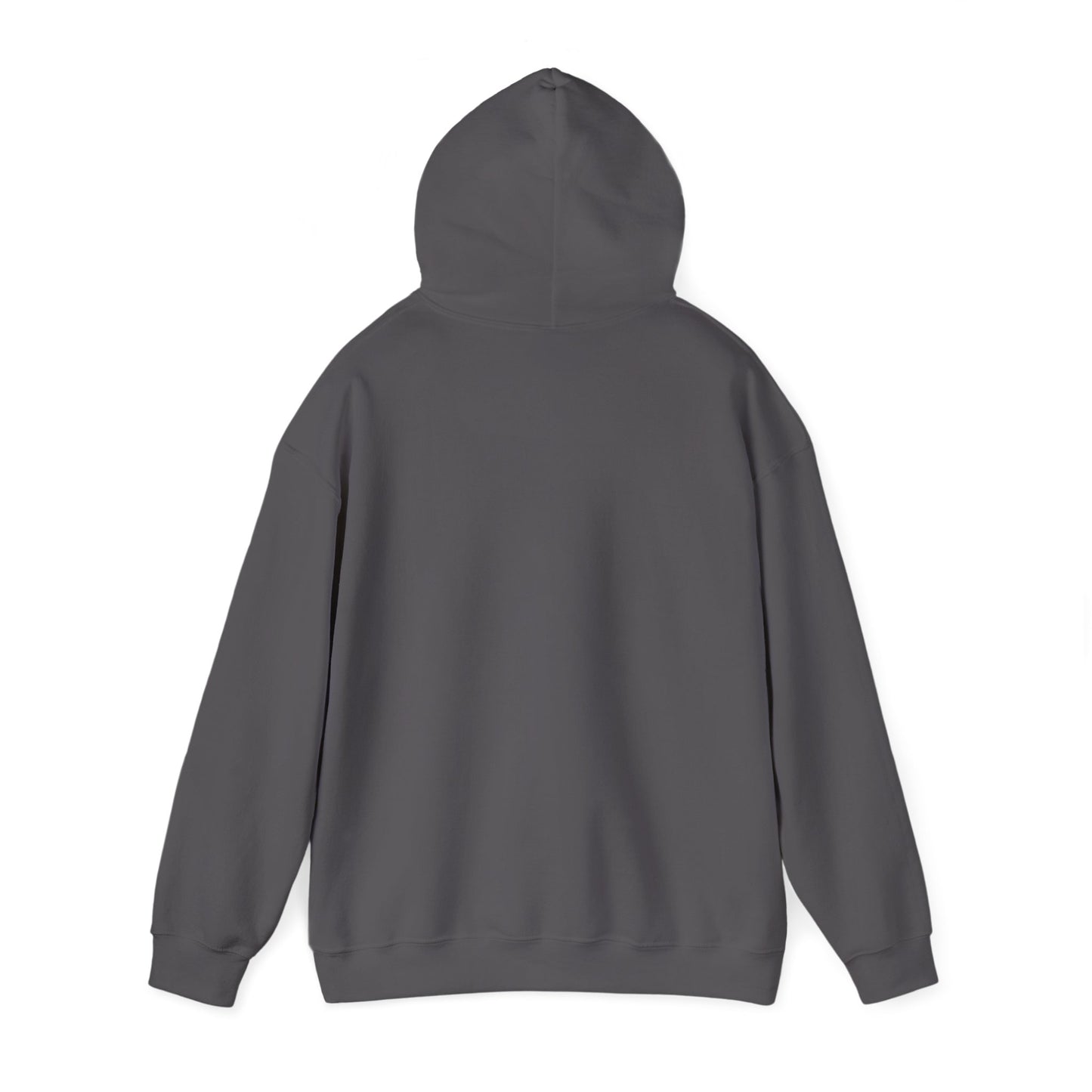 No Kings in America Fleece Hoodie, Cozy Fleece Hoodie, Political Statement Hoodie, Stand With Ameroca Hoodie, Anti Fascism Hoodie
