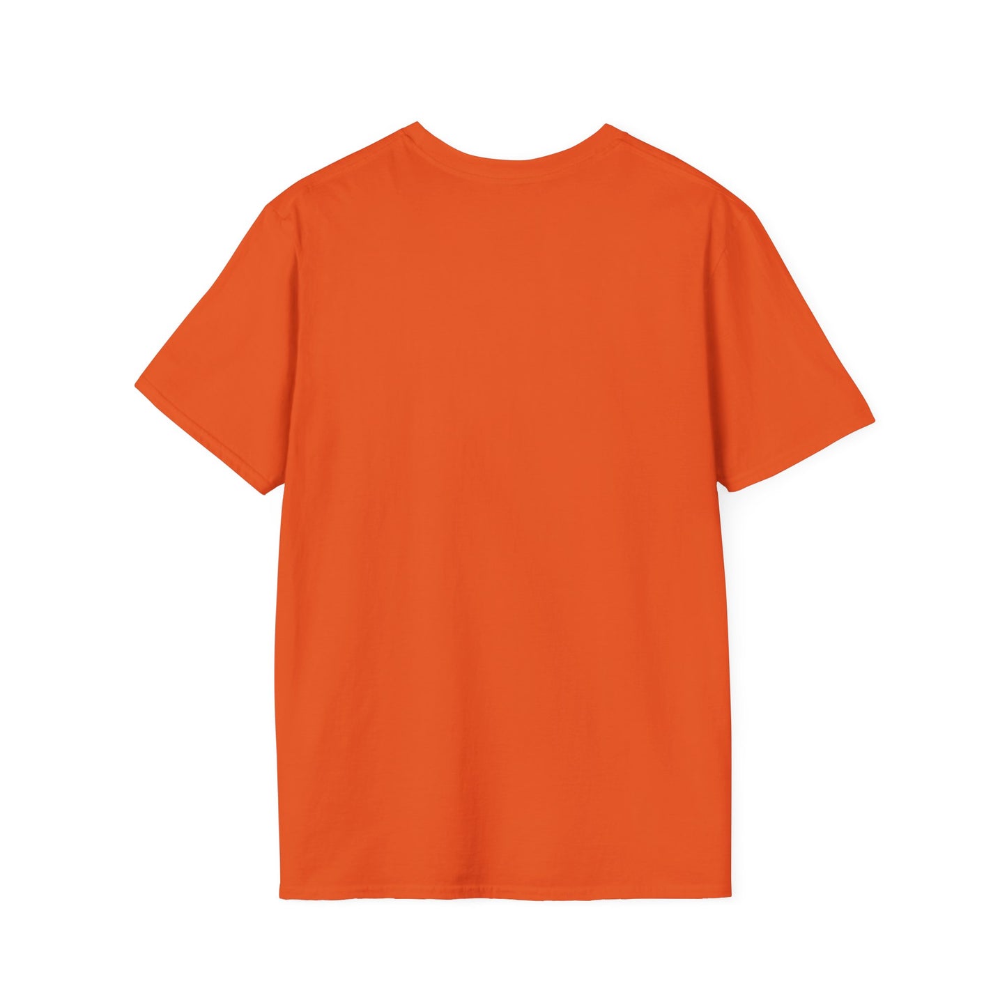 Coming Soon No Due Process Necessary! unisex anti-Trump tee, 34 felony counts tshirt, antiTrump statement apparel