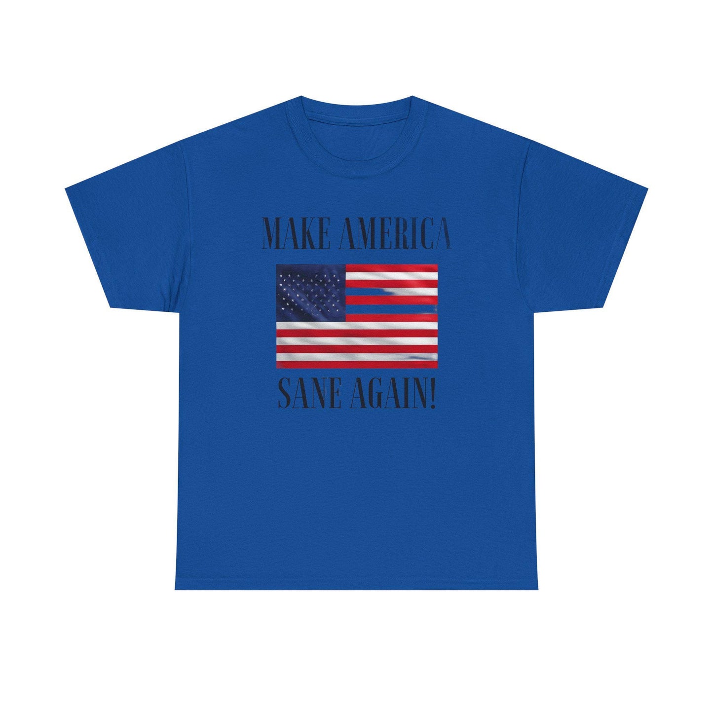 Make America Sane Again! T-Shirt, Unisex Graphic T-Shirt, Political Statement Tee, Anti Fascism, Anti MAGA, Pro Democracy Tee