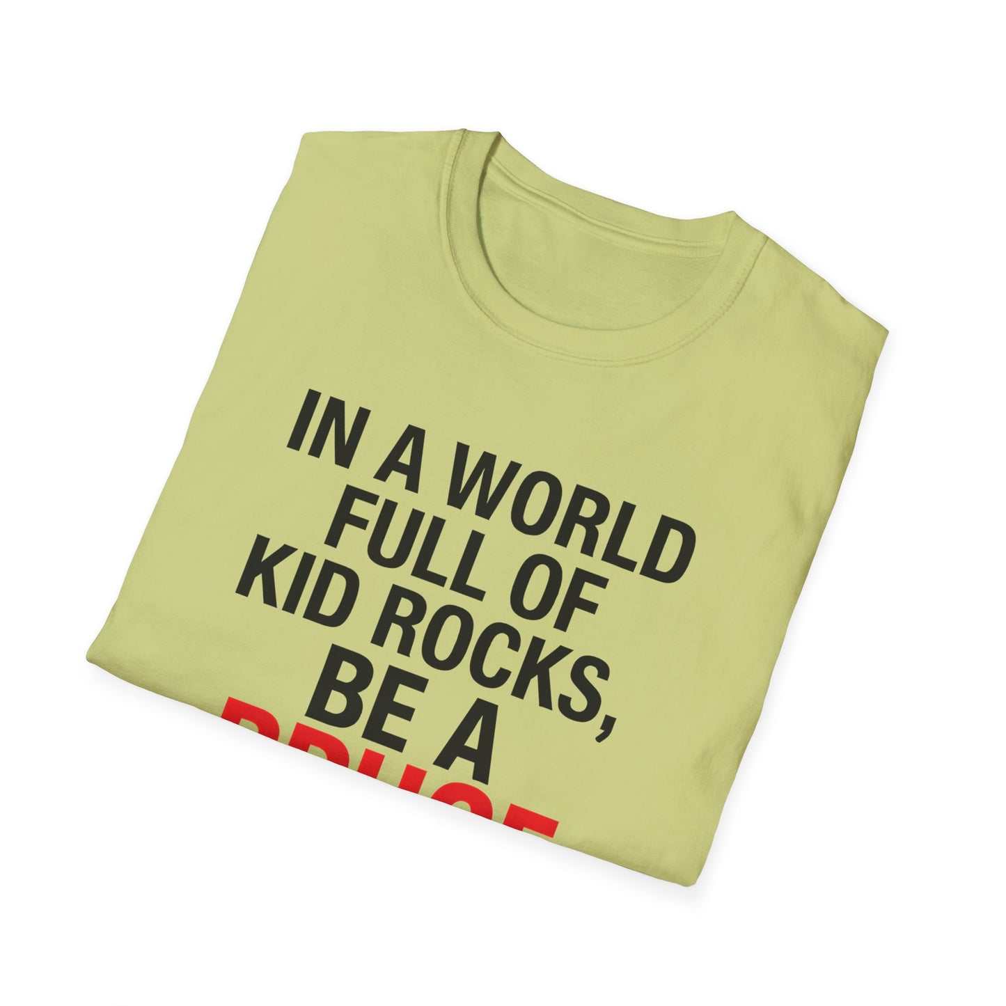 Be a Bruce Springsteen T-Shirt - Be a Bruce Springsteen, Music Lover Gift, Casual Tee, Concert Outfit, Unique Design