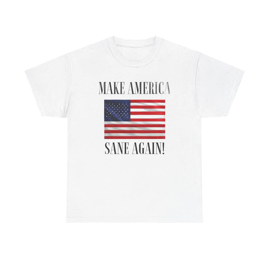 Make America Sane Again! T-Shirt, Unisex Graphic T-Shirt, Political Statement Tee, Anti Fascism, Anti MAGA, Pro Democracy Tee