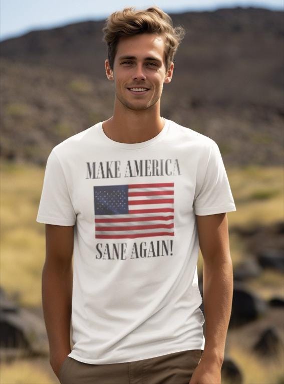 Make America Sane Again! T-Shirt, Unisex Graphic T-Shirt, Political Statement Tee, Anti Fascism, Anti MAGA, Pro Democracy Tee